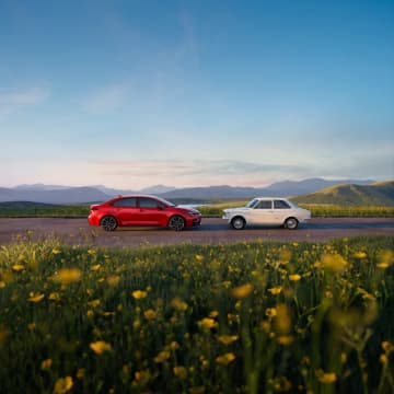 Corolla thumbnail 2